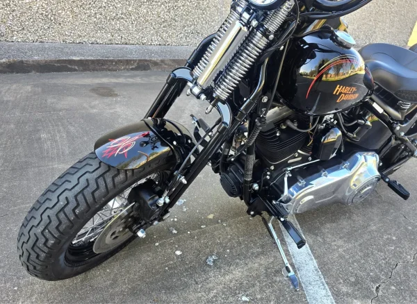 2009 Harley-Davidson Softail CROSSBONES SPRINGER - Image 8