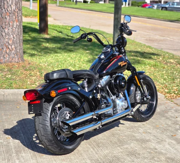 2009 Harley-Davidson Softail CROSSBONES SPRINGER - Image 16
