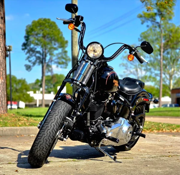 2009 Harley-Davidson Softail CROSSBONES SPRINGER - Image 2